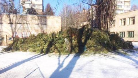 "Зелена справа": у Києві похвалилися утилізацією гори ялинок (фото)