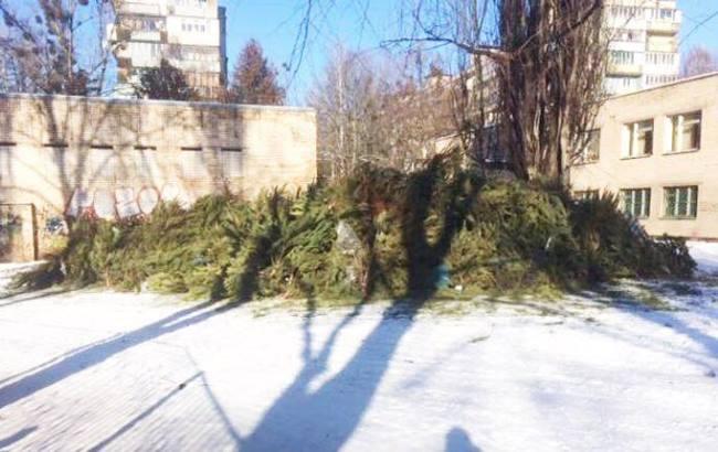 "Зеленое дело": в Киеве похвастались утилизацией горы елок (фото)