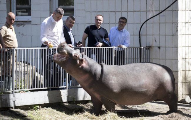 Кличко розповів про етапи реконструкції Київського зоопарку