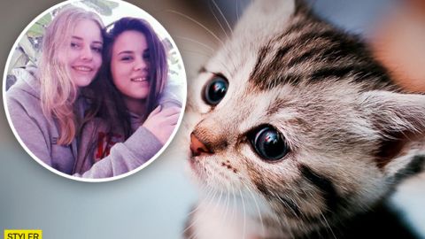 У Сумах дві дівчини кинули в колодязь кошенят: яке покарання загрожує студенткам