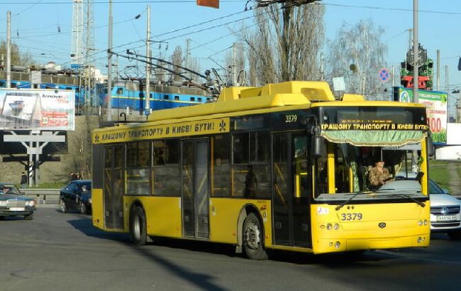 У Києві побачили хвостатого водія "за кермом" тролейбуса (відео)