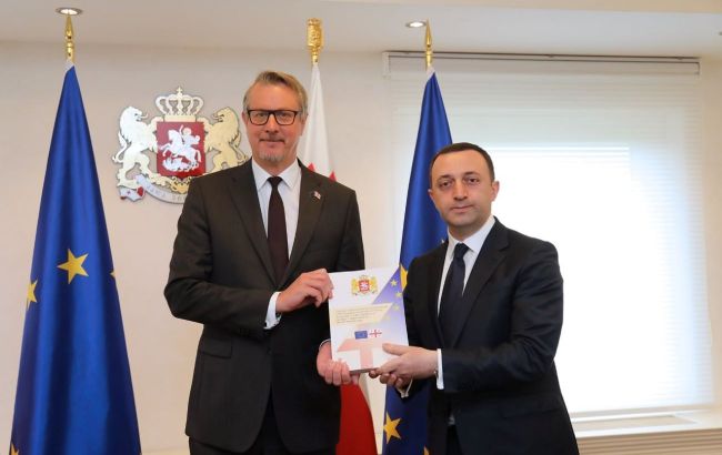 Грузія передала ЄС першу частину анкети для отримання статусу кандидата