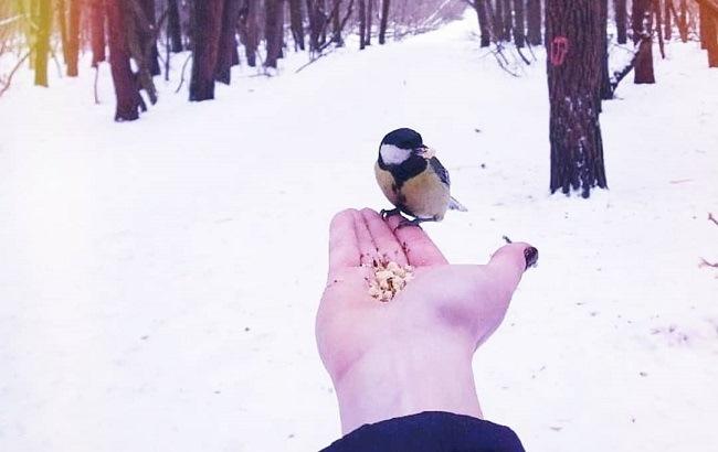 "І ніяких спецефектів не треба": снігова завірюха у Харкові підкорює соцмережі