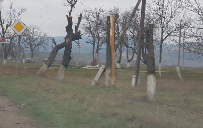 "Варварство в чистом виде": в Крыму оккупанты массово уничтожают деревья