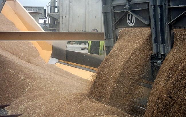 Україна експортувала 308 тис. тонн зерна з 1 липня, - МінАП