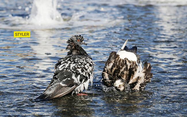 Погода в Україні: народний прогноз на 30 квітня