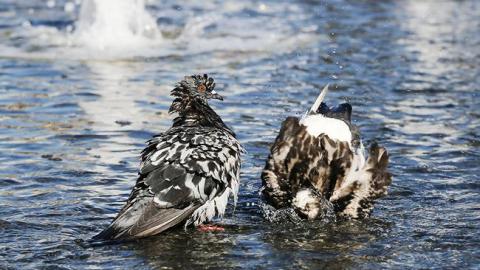 Неимоверная жара: синоптики уточнили прогноз погоды на субботу