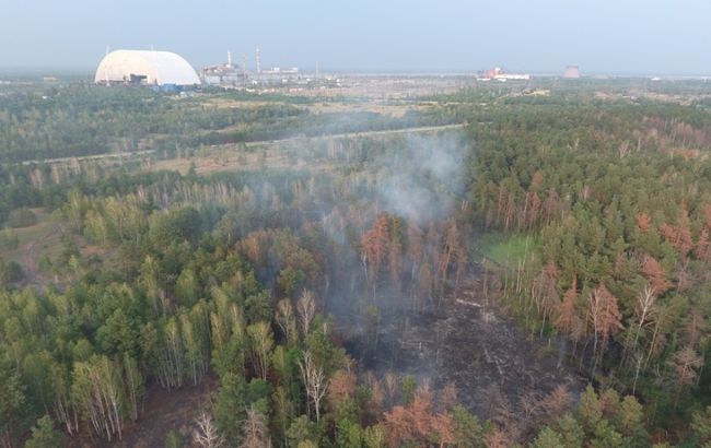 Пожежа біля Чорнобильської АЕС: тліє лісова підстилка і чагарники