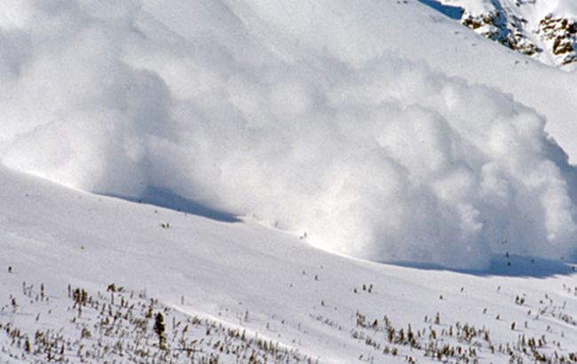 В австрийских Альпах погибли пятеро лыжников