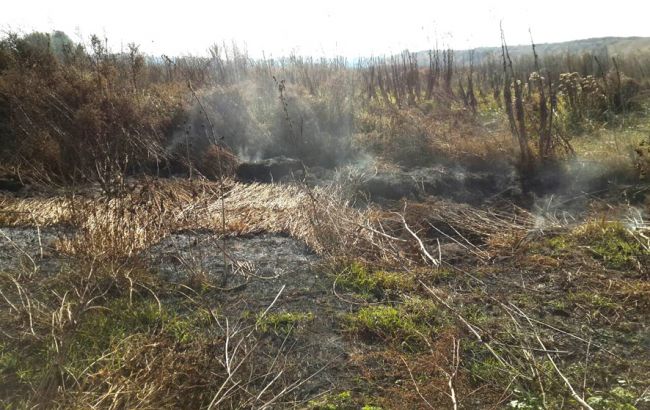 У Полтавській області 9 день горить торф, пожежу гасять 57 рятувальників