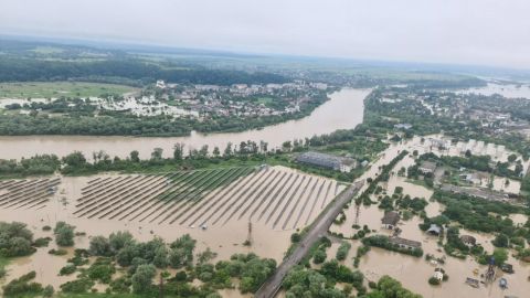 Ефект від вирубки лісу на повені показали в простому відео