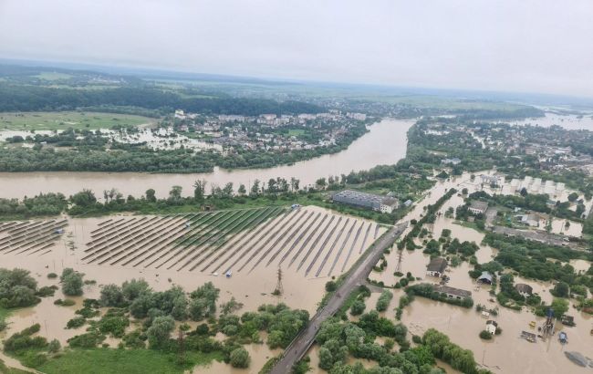 Ефект від вирубки лісу на повені показали в простому відео