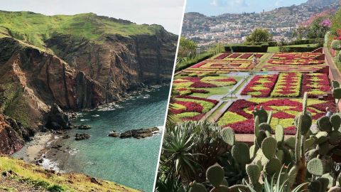 Тільки паспорт і тест: українці полетять на тропічний острів за доступною ціною