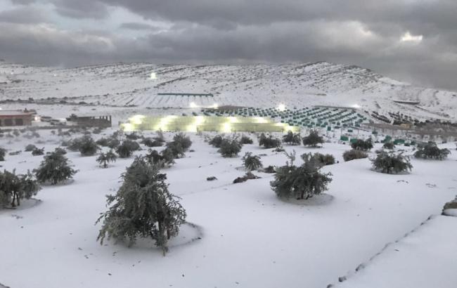 На Аравійському півострові випав аномальний сніг