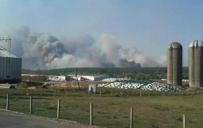 Лісову пожежу в Харківській області локалізовано, є окремі осередки тління