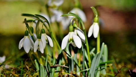 Синоптики рассказали, в какие области придет настоящая весна