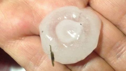 Огромный град и поваленные деревья: стихия наделала беды на Закарпатье (фото, видео)