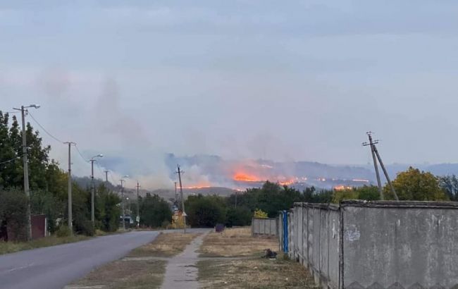 У Краматорську згоріли гектари ландшафтного парку