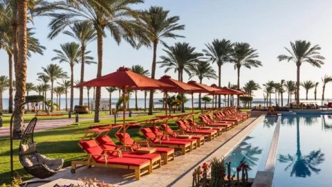 Сумнівні гіди та небезпечні екскурсії: як відпочити у Єгипті без зайвих проблем