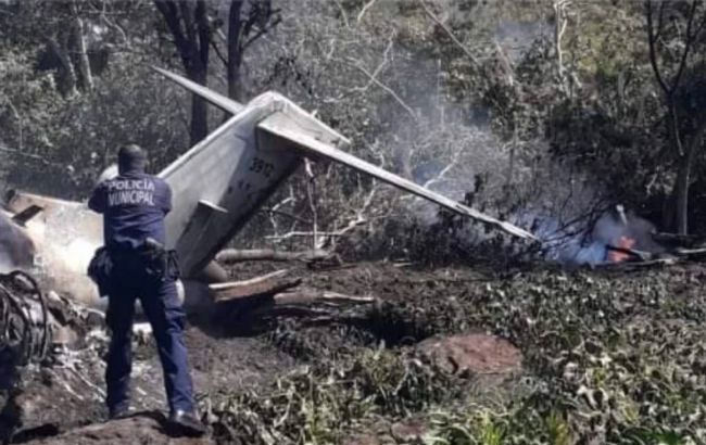 В Мексике разбился пассажирский самолет ВВС страны