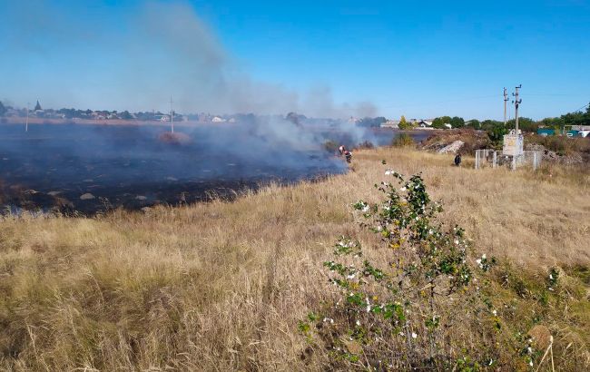 Полум'я могло перейти на житловий простір: в Харківській області загорівся очерет