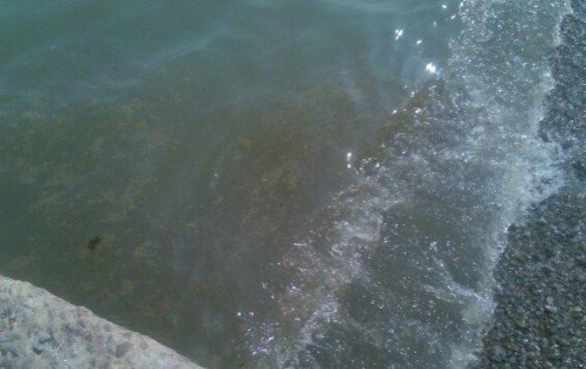 В Алупке в море сливают нечистоты