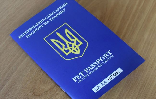 Без этого документа не выпустят за границу: как получить ветпаспорт на питомца