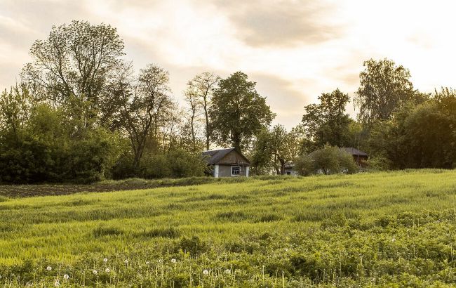 Незвичні суми. Який штраф вимагають з тих, хто зайняв чужу земельну ділянку