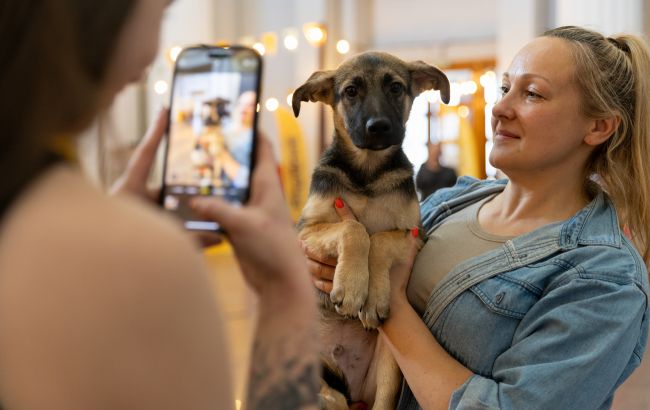 Їм потрібна родина. У Києві безкоштовно роздаватимуть котів і собак: де і коли