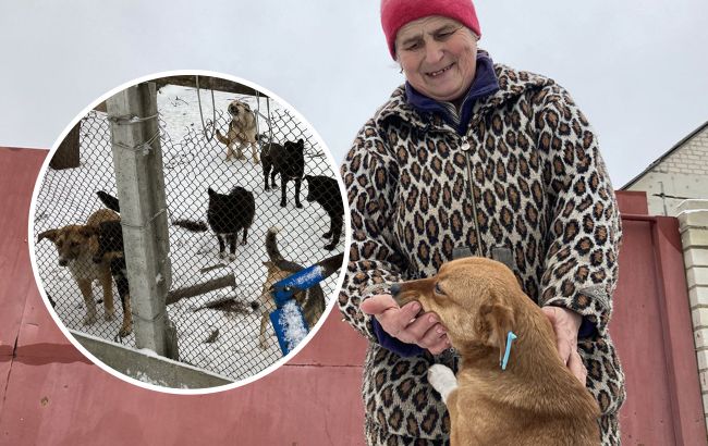 Кожну тварину кличе на ім'я: українка рятувала з-під обстрілів РФ майже 200 собак та котів