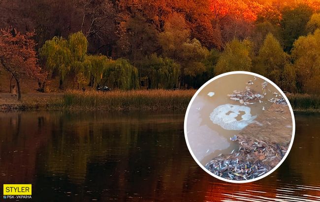 У київському парку знищують озеро: нечистоти постійно зливають у водойму (фото)