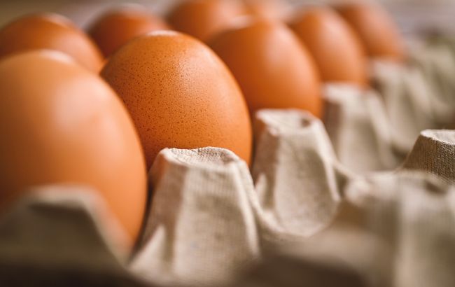Курячі яйця в Україні будуть продавати по-новому: що зміниться
