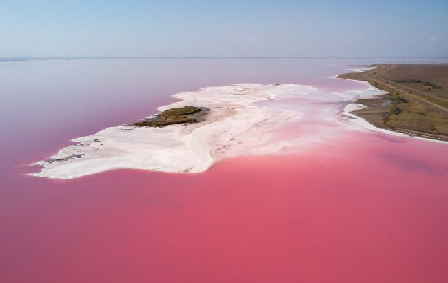 Унікальне Рожеве озеро в Україні: де знаходиться і чому туди варто поїхати