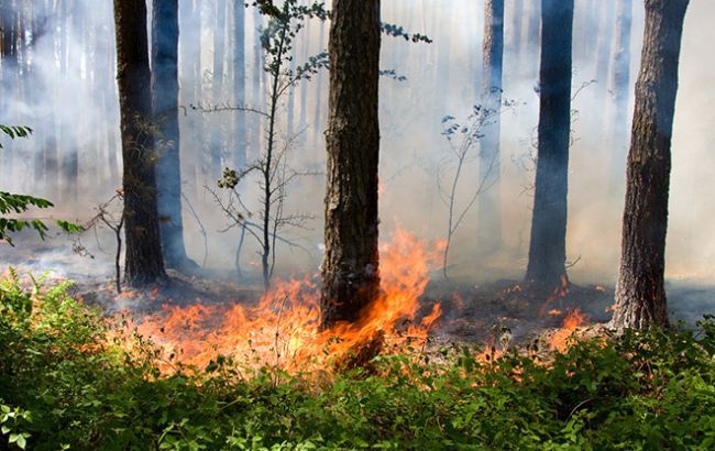У ДСНС попереджають про пожежну небезпеку на сході та півдні України