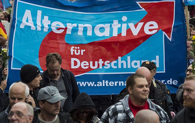 Спецслужба Німеччини перевірить ультраправу партію на екстремізм