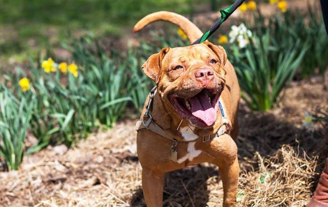 Синоптики предупреждают о грозах и сильном ветре в западных областях Украины