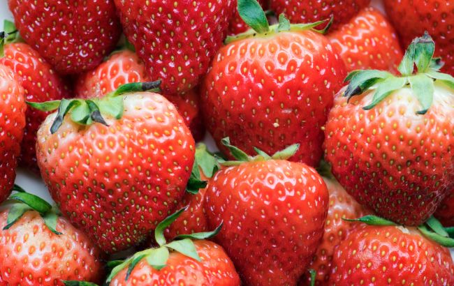 Какое удобрение лучше всего подходит для клубники? Вот что советуют агрономы