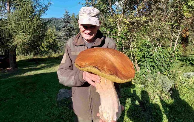 У Карпатах знайшли велетенський гриб: фото неймовірної знахідки