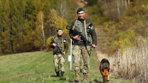У одному з районів Закарпаття створять додатковий пост для запобігання контрабанди