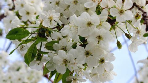 "З особливостями": синоптик дала обнадійливий прогноз погоди на неділю