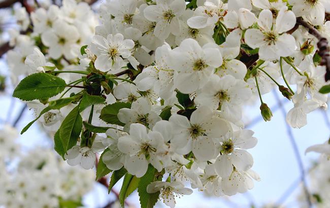 "З особливостями": синоптик дала обнадійливий прогноз погоди на неділю