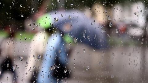 Синоптики попереджають про дощ та пориви вітру в Україні