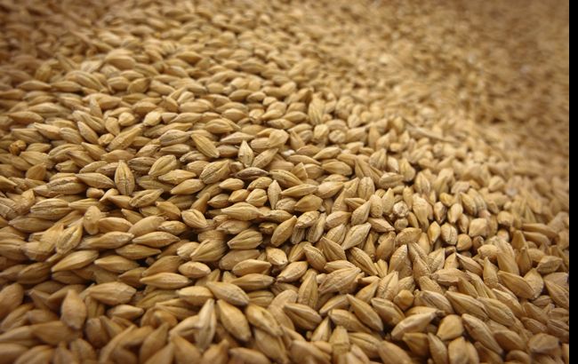 ГПЗКУ закупила по споту почти 500 тыс. тонн зерна