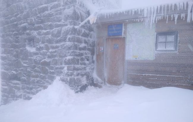 Снега выше колена. В Карпатах продолжает бушевать непогода (видео)