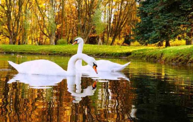 Погода на сегодня: в Украине без осадков, температура до +30