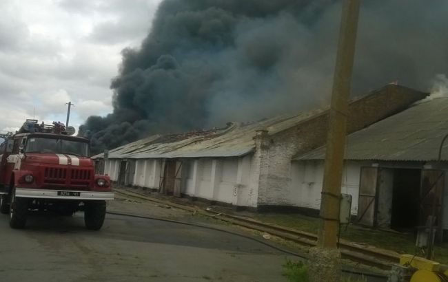 В Полтавской области произошел масштабный пожар на складе хранения зерна