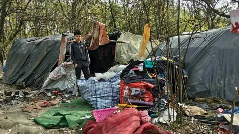 У Києві знову окупували роми Лису гору (фото)