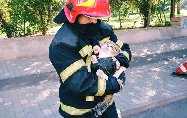 В Одесі бійці ДСНС врятували котика, який потрапив у халепу: як це було