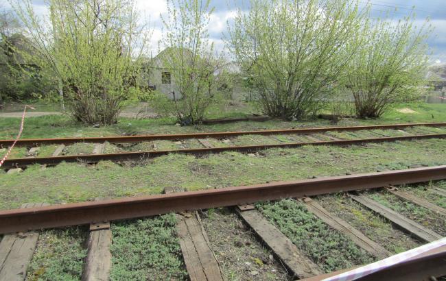 У Луганській області біля залізничної колії виявили арсенал боєприпасів