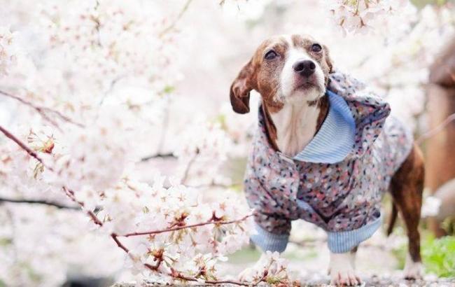 Синоптики попереджають про дощі та грози в Україні